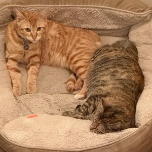 Meet your Posher, Mari